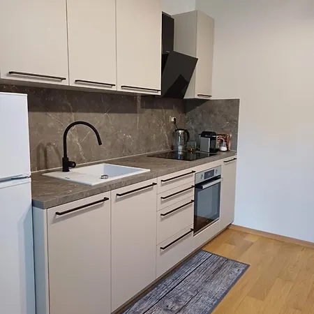 Zdenka - 100 M From The Lägenhet