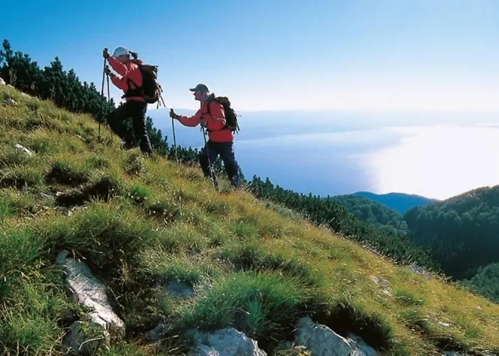 Zdenka - 100 M From The Lägenhet Opatija