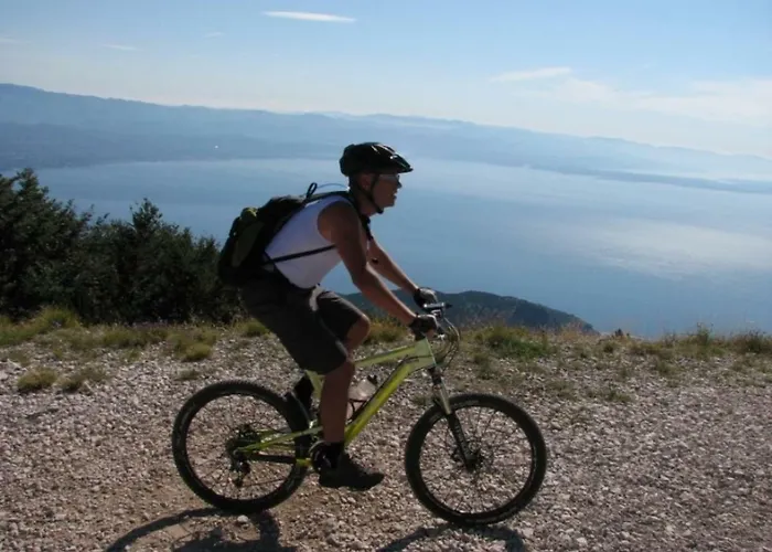 Zdenka - 100 M From The Lägenhet Opatija