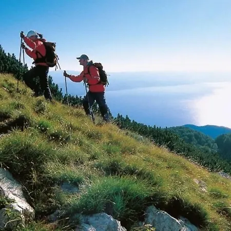 Zdenka - 100 M From The Lejlighed Opatija