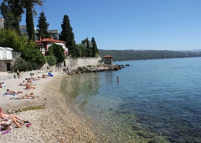 Zdenka - 100 M From The